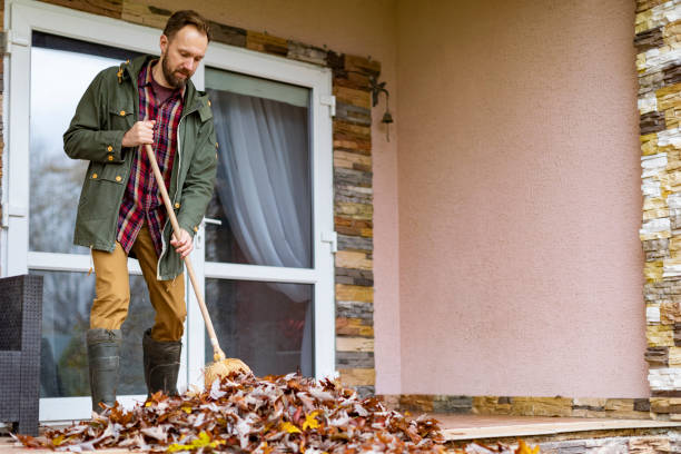 Best Basement Cleanout Services  in Westby, WI